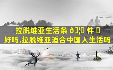 拉脱维亚生活条 🦈 件 ☘ 好吗,拉脱维亚适合中国人生活吗